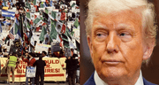 Mucha atención, Donald Trump: esto aportan los inmigrantes indocumentados a la economía de Estados Unidos