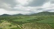 De tierras secas a amplios cultivos: Cómo Olmos impulsa la productividad agrícola en Valle Viejo