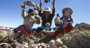 Día del Campesino 2025 en Perú: por qué se celebra hoy 24 de junio y cuál es su origen de esta festividad