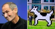 Clarus, el perro-vaca que fue mascota de Apple: Steve Jobs lo 'odiaba' y pidió que lo quitaran para siempre