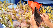 De pollo a mollejitas: el almuerzo de los trabajadores estatales en tiempos de crecimiento económico