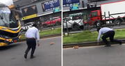 Chofer de bus desata risas al intentar atrapar un cuy en plena pista: "Se cayó la encomienda"