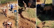 Perrito que 'trabaja' como ayudante en construcción causa ternura en redes: "Súbanle el sueldo"