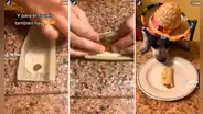 ¡Para ‘Firu’ también hay! Joven prepara un tamal con croquetas para su perrito