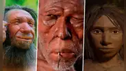 Sapiens, neandertales y denisovanos: ¿cómo fue la convivencia entre estas especies?