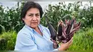 Día de la Mujer 2020: la cajamarquina que creó un maíz morado anticáncer