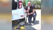 Reportero para su transmisión en vivo para ayudar a un perro callejero que estaba herido [VIDEO]