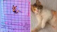 Niña dibujó a su gatito desaparecido para encontrarlo y caso se volvió viral