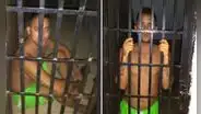 Revelan imágenes de la tortura a periodista venezolano opositor a Maduro [VIDEO]