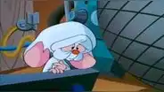 Pinky y Cerebro: conmovedor episodio navideño le cumple su sueño al inteligente ratón [VÍDEO] 