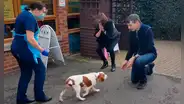 Perrita vuelve a ver a sus dueños 6 años después de haber sido robada