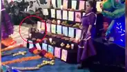 Perro callejero se roba las ofrendas durante ceremonia para honrar a muertos [VIDEO]