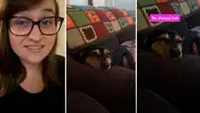 Perro quiere ir a pasear y su dueña le canta ‘canción de cuna’ para que duerma [VIDEO]