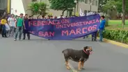 Perrovaca, la mascota 'revolucionaria' de la UNMSM, que ahora marchará en el cielo 