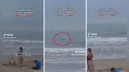 Captan supuestos tiburones en una playa de Barranca y usuarios quedan en shock
