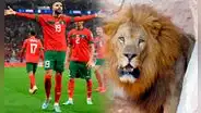 ¿Por qué la selección de Marruecos es conocida como los leones del Atlas?