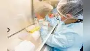 INS detecta la presencia de nuevo linaje de la variante ómicron en el país