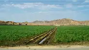 Agricultores esperan que canal de Chavimochic llegue hasta Pampas de Urricape