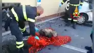 Bomberos rescatan a perro con discapacidad visual que cayó a una alcantarilla 