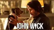 John Wick: escena del perro no iba a existir, pero directores lucharon para filmarla 