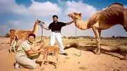 ¿Sabías que una llama y un camello tuvieron una cría? Conoce el aspecto de esta criatura híbrida [VIDEO]