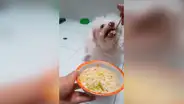 Mujer cocina sopa para su perro enfermo y lo consiente como si fuera un tierno bebé [VIDEO] 
