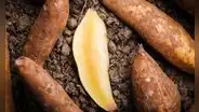 Yacón: ¿Es el superalimento del Perú que controla diabetes?