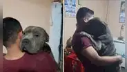 Joven peruano se reencuentra con su perro extraviado tras varios meses y protagonizan tierna escena [FOTOS]