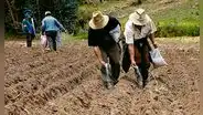 Es hora de que el Perú produzca sus fertilizantes