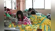 Adex: Pymes exportaron 290 millones de dólares anualmente a la Alianza del Pacífico