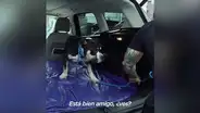 Rescatan a perro agresivo de sótano abandonado, lo adoptan y se vuelve en un cariñoso can [VIDEO]