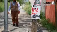 Reportero detiene transmisión en vivo al ver unos gatos bebés abandonados en la calle [VIDEO]