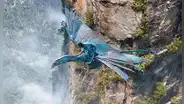 YouTube: revelan cómo se siente viajar sobre el lomo de un Banshee de Avatar [VIDEO]