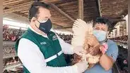 FAO apoya a autoridades para hacerle frente a la gripe aviar