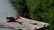 Circula video falso de una presunta ‘sirena’ que apareció en puerto de Nicaragua 