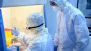 Especialistas en Israel trabajan para obtener la vacuna contra el coronavirus