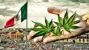 México: Empresarios se preparan para el “boom” de la industria del cannabis