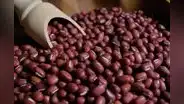 Establecen requisitos fitosanitarios para importar grano de frejol adzuki de Argentina