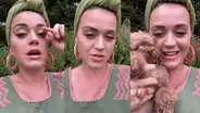 Katy Perry envía mensaje por el Día de la Madre mostrando avances de su embarazo  [VIDEO]