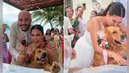 Novios eligen a su perrita como testigo de su matrimonio
