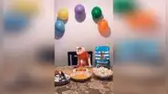 Gato cumple 4 años al lado de su dueña y ella le canta ‘Feliz cumpleaños’ con ‘maullidos’ [VIDEO] 