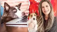 Mike te cuida, la primera plataforma virtual de atención para mascotas en Perú