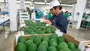TLC con Australia impactará en repunte de exportaciones del Perú