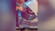 Gato tiene adorable gesto con su ‘amigo’ que tenía un ‘cono de la vergüenza’ [VIDEO]