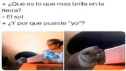 ‘Meme del gato regañado’: conoce el origen de la imagen que es viral en Internet [FOTOS]