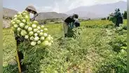 Sector agrario cerró un año catastrófico y espera mayor atención en 2023