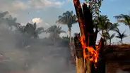 Pray for Amazonas: usuarios de todo el mundo lamentan el incendio en la amazonía de Brasil