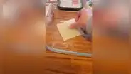 Peruana enseña a preparar lasaña casera con masa de wantán en poco tiempo