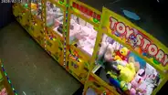 Graban a gato callejero entrando a máquina de peluches y tratando de robar a Pikachu [VIDEO]
