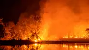 Australia: incendios forestales y las graves consecuencias en imágenes [FOTOS]